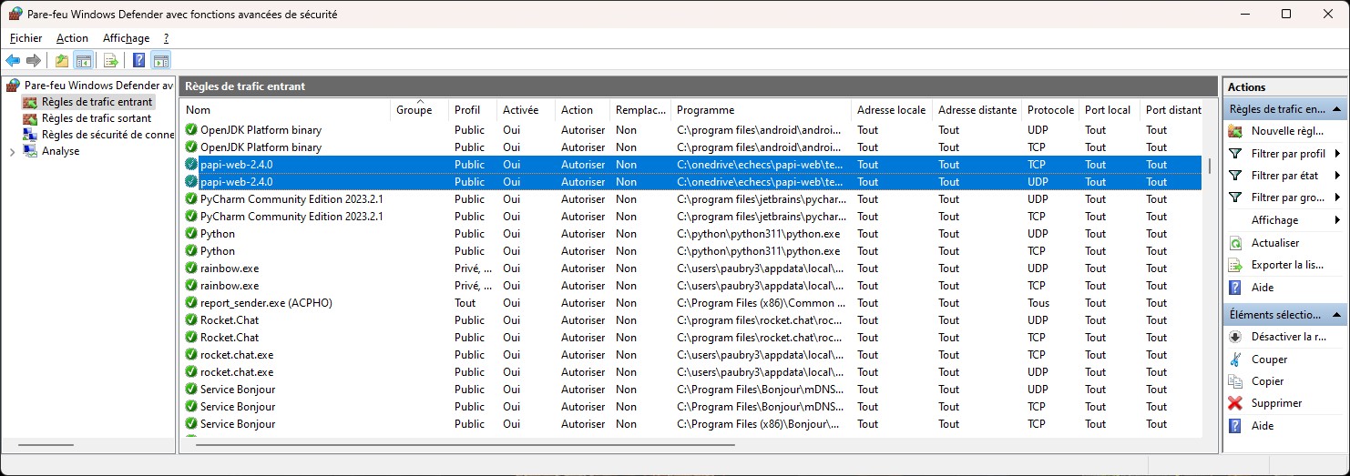 Example of _Microsoft Defender_ firewall permission for _Sharly Chess_